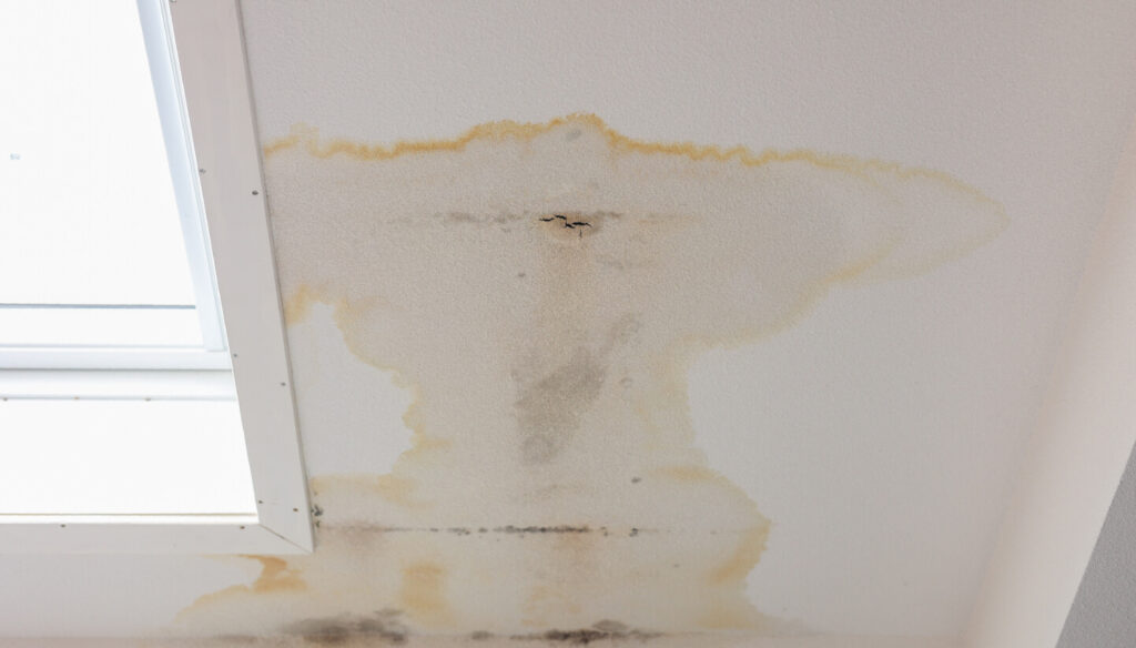 Ceiling with large yellow and brown water stains and mold spots near a rectangular window, indicating water damage and possible roof leak—may signal the need to repair fascia and soffit to prevent further issues.